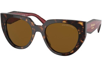 Solbriller Prada PR14WS 2AU5Y1 Polarized Cat Eye Havana