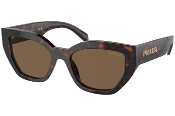 Solbriller Prada PRA09S 16N5Y1 Cat Eye Brun