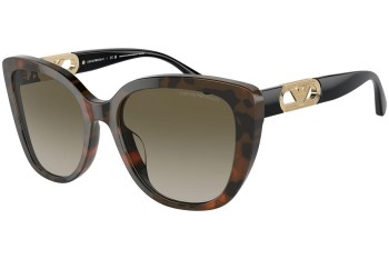 Solbriller Emporio Armani EA4214U 60608E Cat Eye Havana