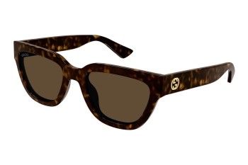 Solbriller Gucci GG1578S 002 Cat Eye Havana