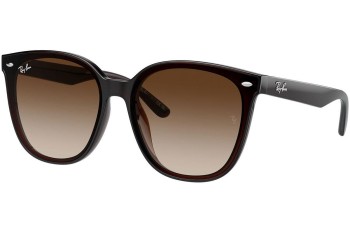 Solbriller Ray-Ban RB4423D 714/13 Rektangulær Brun