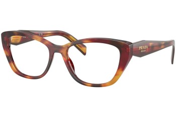 Briller Prada PR19WV 22A1O1 Cat Eye Havana