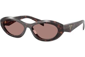 Solbriller Prada PR26ZS 17N60B Oval Havana