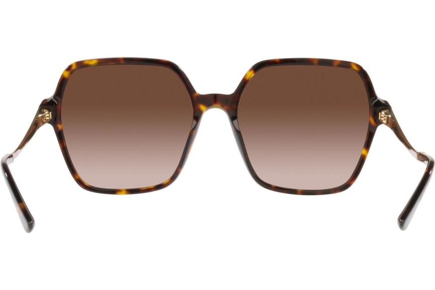 Solbriller Bvlgari BV8252 504/13 Oversize Havana