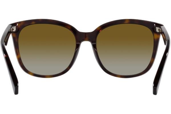 Solbriller Emporio Armani EA4157 5234T5 Polarized Cat Eye Havana