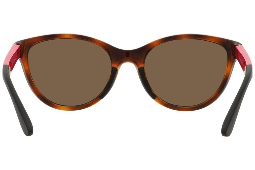 Solbriller Emporio Armani EK4003 502673 Cat Eye Havana