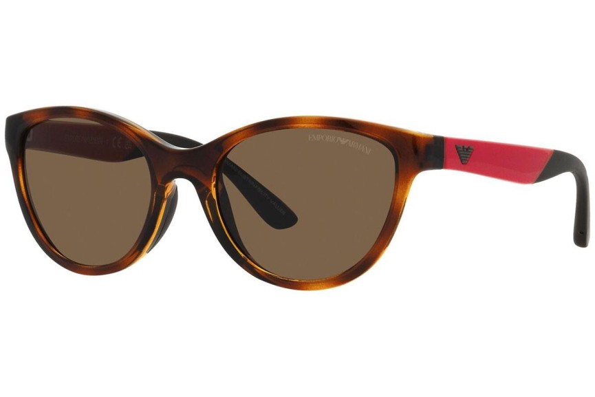 Solbriller Emporio Armani EK4003 502673 Cat Eye Havana