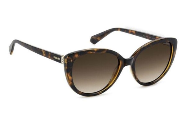 Solbriller Polaroid PLD4176/S/X 086/LA Polarized Cat Eye Havana