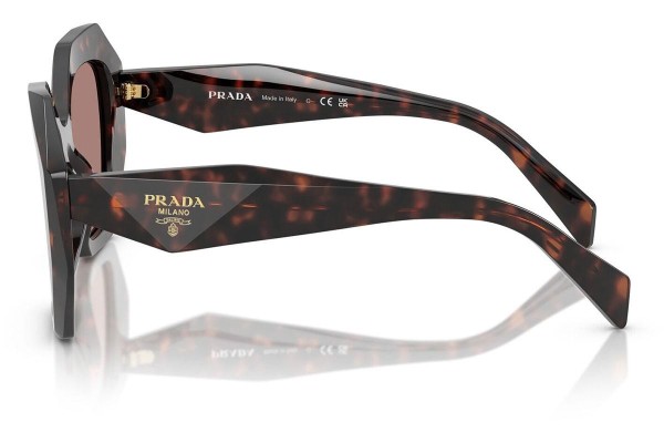 Solbriller Prada PR16WS 17N60B Special Havana