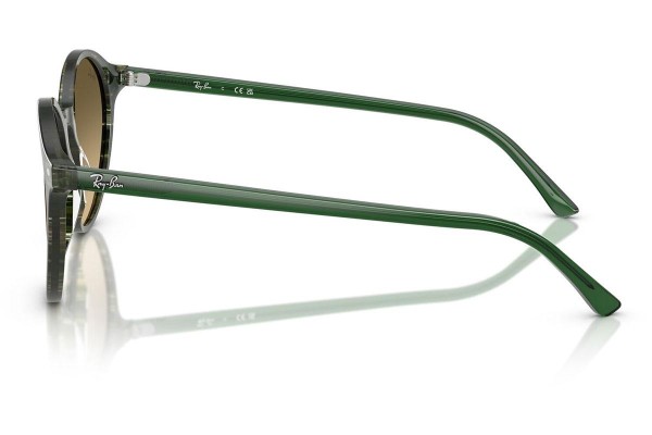 Solbriller Ray-Ban RB2230 14210A Rund Grøn