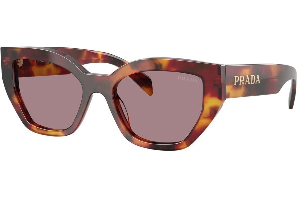 Solbriller Prada PRA09S 22A20I Cat Eye Havana