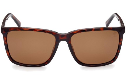 Solbriller Timberland TB9280-H 52H Polarized Firkantet Havana