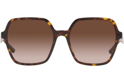 Solbriller Bvlgari BV8252 504/13 Oversize Havana