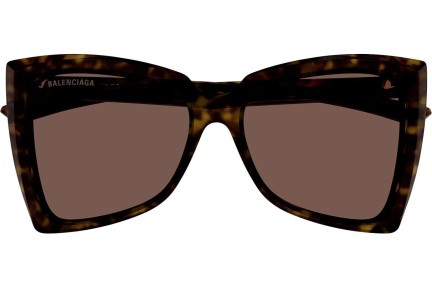 Solbriller Balenciaga BB0174S 002 Cat Eye Havana