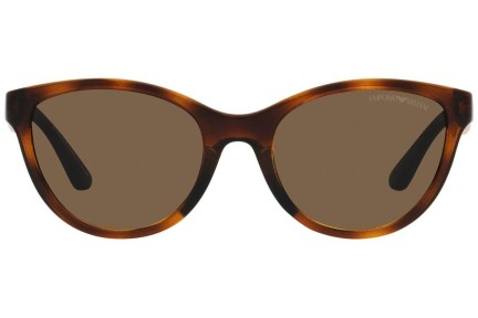 Solbriller Emporio Armani EK4003 502673 Cat Eye Havana