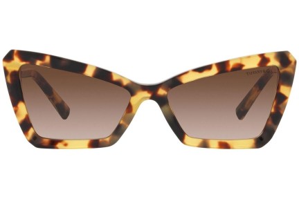 Solbriller Tiffany & Co. TF4203 80643B Cat Eye Havana