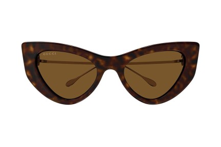 Solbriller Gucci GG1565S 002 Cat Eye Havana