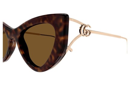 Solbriller Gucci GG1565S 002 Cat Eye Havana