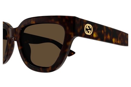 Solbriller Gucci GG1578S 002 Cat Eye Havana