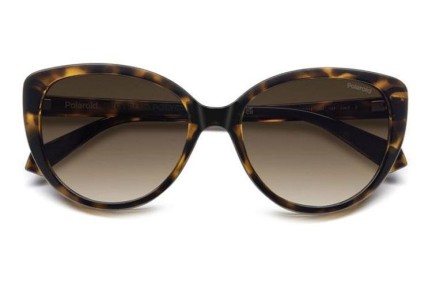 Solbriller Polaroid PLD4176/S/X 086/LA Polarized Cat Eye Havana