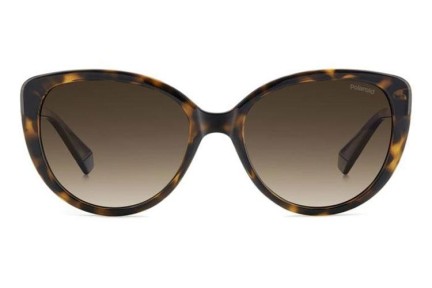 Solbriller Polaroid PLD4176/S/X 086/LA Polarized Cat Eye Havana