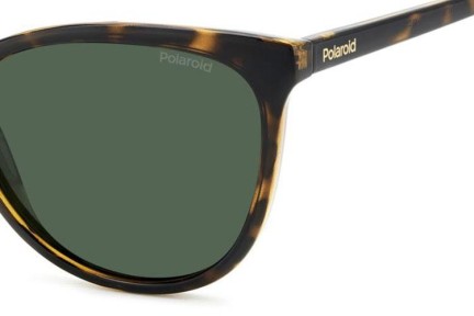 Solbriller Polaroid PLD4179/S 086/UC Polarized Cat Eye Havana