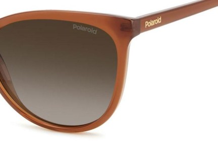 Solbriller Polaroid PLD4179/S FMP/LA Polarized Cat Eye Brun