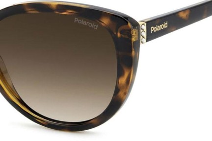 Solbriller Polaroid PLD4176/S/X 086/LA Polarized Cat Eye Havana