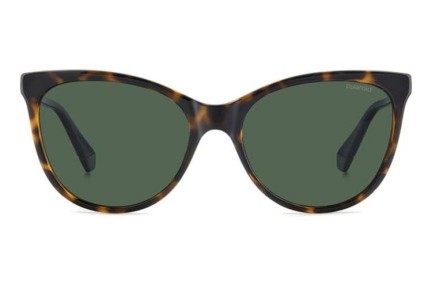 Solbriller Polaroid PLD4179/S 086/UC Polarized Cat Eye Havana