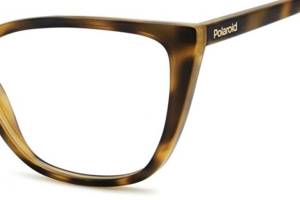 Briller Polaroid PLDD545 086 Cat Eye Havana