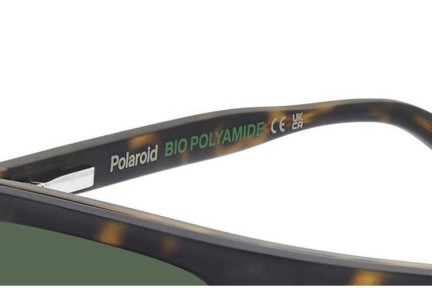 Briller Polaroid PLD6230/CS N9P/UC Polarized Flat Top Havana