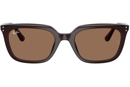 Solbriller Ray-Ban RB4439D 623173 Firkantet Brun