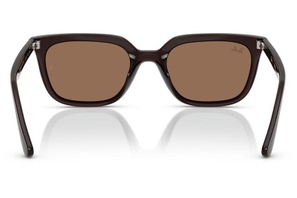 Solbriller Ray-Ban RB4439D 623173 Firkantet Brun