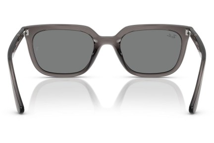 Solbriller Ray-Ban RB4439D 667587 Firkantet Grå