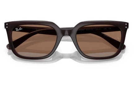 Solbriller Ray-Ban RB4439D 623173 Firkantet Brun