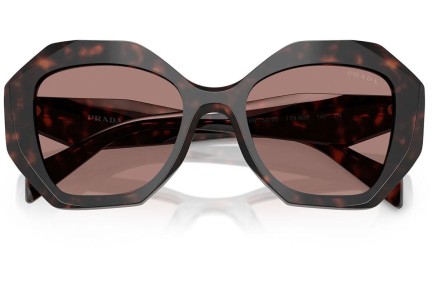 Solbriller Prada PR16WS 17N60B Special Havana