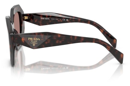 Solbriller Prada PR16WS 17N60B Special Havana