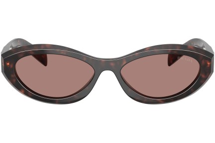 Solbriller Prada PR26ZS 17N60B Oval Havana