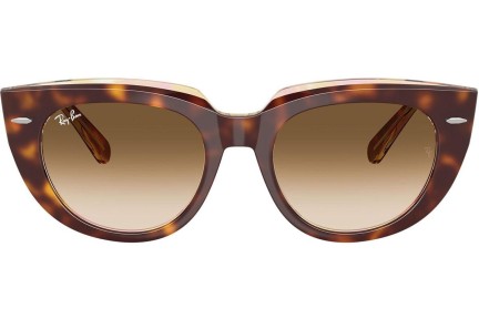 Solbriller Ray-Ban RB2286 141451 Firkantet Havana