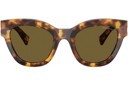 Solbriller Miu Miu MU01YS 14L09Z Cat Eye Havana