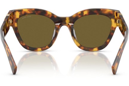 Solbriller Miu Miu MU01YS 14L09Z Cat Eye Havana