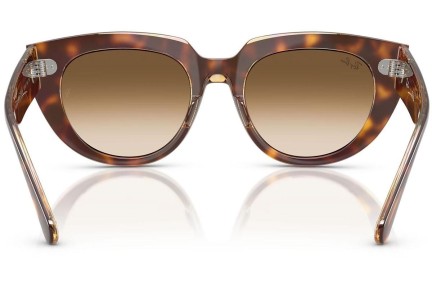 Solbriller Ray-Ban RB2286 141451 Firkantet Havana