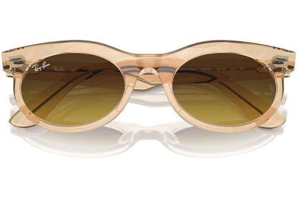 Solbriller Ray-Ban RB2242 138685 Browline Brun