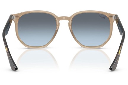 Solbriller Ray-Ban RB4306 6788V1 Firkantet Beige