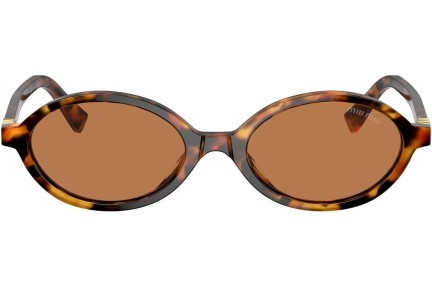 Solbriller Miu Miu MU04ZSF 19P2Z1 Oval Havana