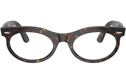 Solbriller Ray-Ban RB2242 902/GI Browline Havana