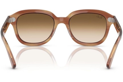 Solbriller Ray-Ban Erik RB4398 140351 Firkantet Brun