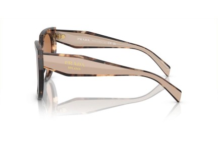 Solbriller Prada PR14WS 01R2Z1 Cat Eye Havana