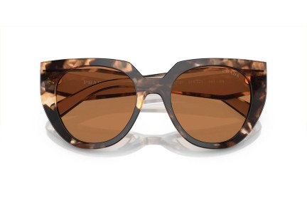 Solbriller Prada PR14WS 01R2Z1 Cat Eye Havana