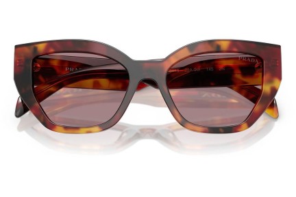 Solbriller Prada PRA09S 22A20I Cat Eye Havana